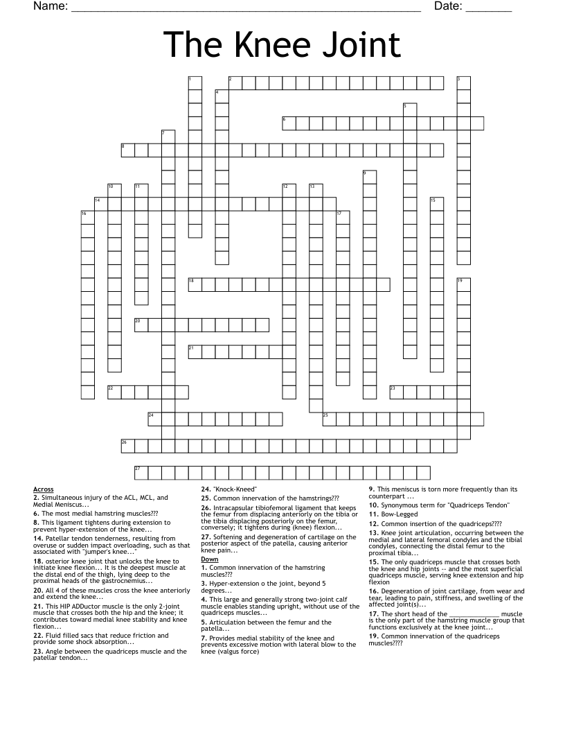The Knee Joint  Crossword