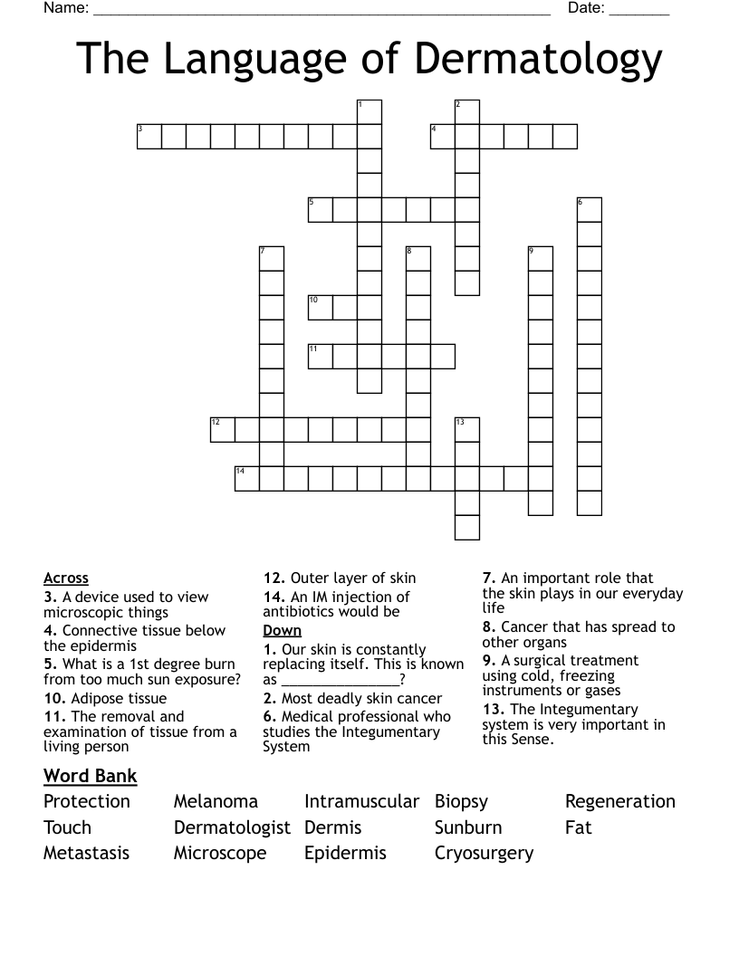 The Language of Dermatology Crossword