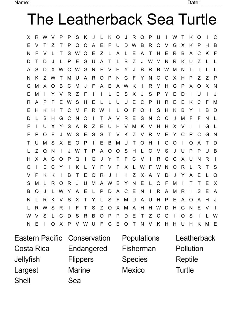The Leatherback Sea Turtle Word Search