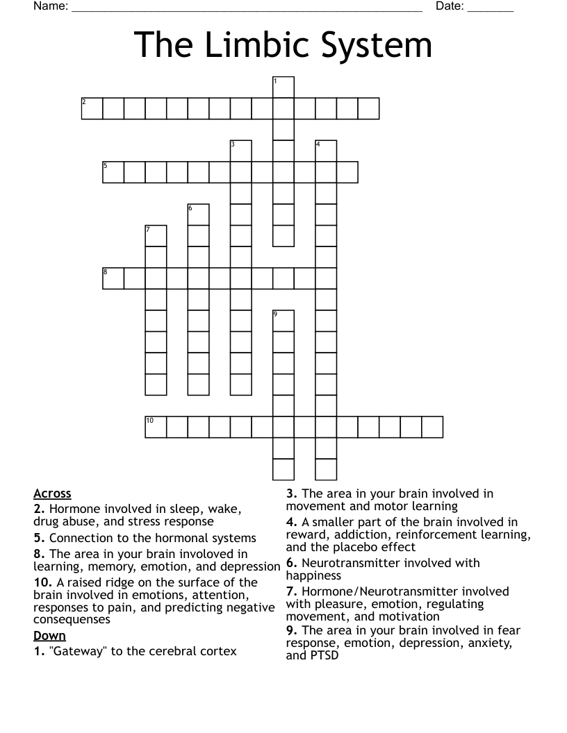 The Limbic System Crossword
