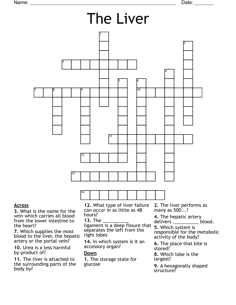 The Liver Crossword