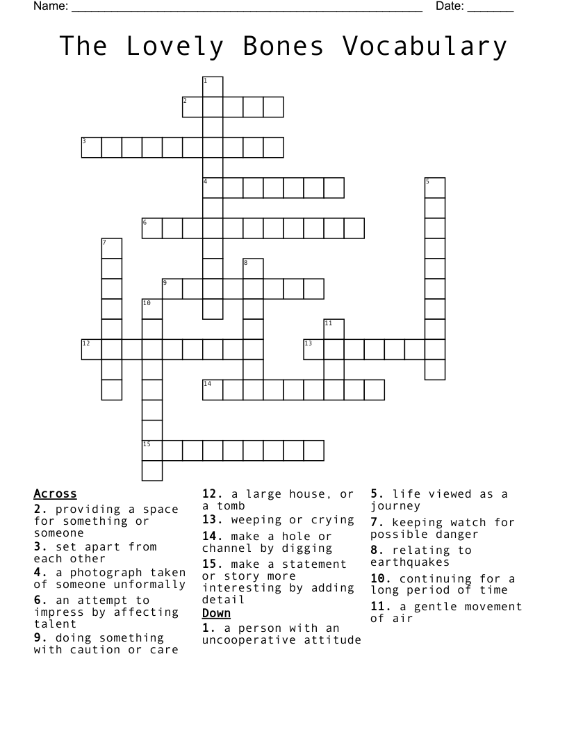 The Lovely Bones Vocabulary Crossword