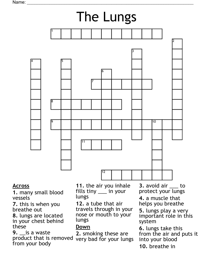The Lungs Crossword
