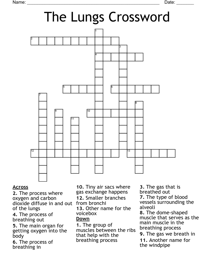 The Lungs Crossword