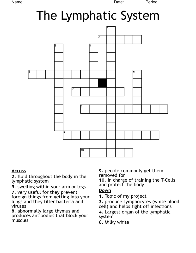 The Lymphatic System Crossword