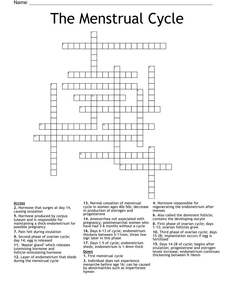 The Menstrual Cycle Crossword