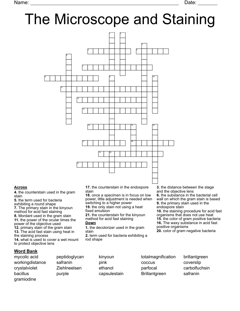 The Microscope and Staining Crossword