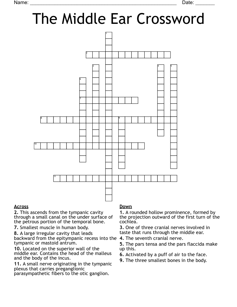 The Middle Ear Crossword