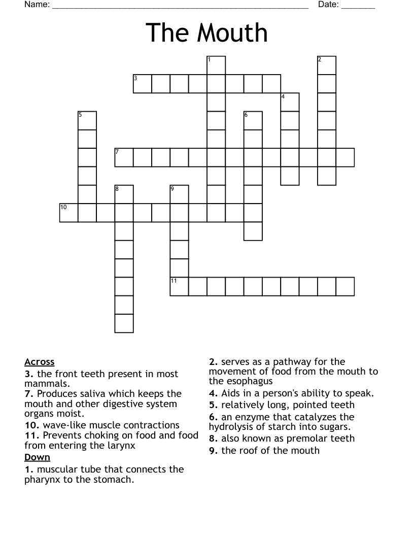 The Mouth Crossword