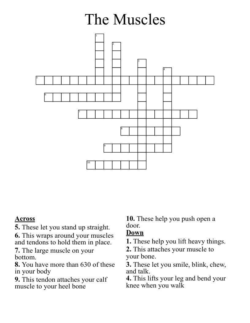 The Muscles Crossword