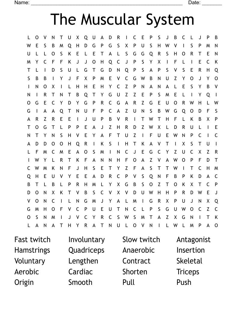 The Muscular System Word Search