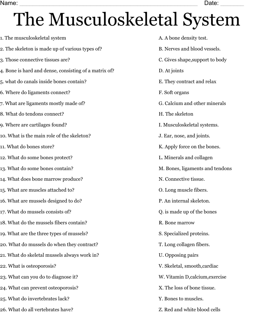 The Musculoskeletal System Worksheet