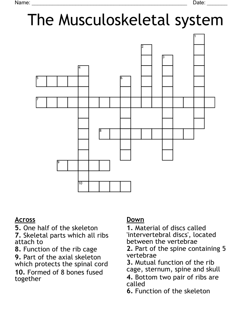 The Musculoskeletal system Crossword