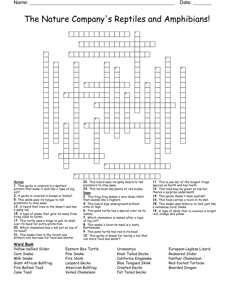 The Nature Company's Reptiles and Amphibians! Crossword