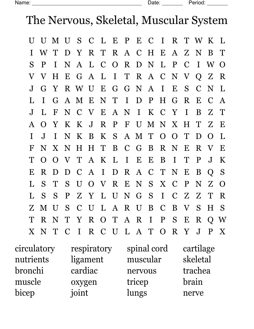 The Nervous, Skeletal, Muscular System Word Search