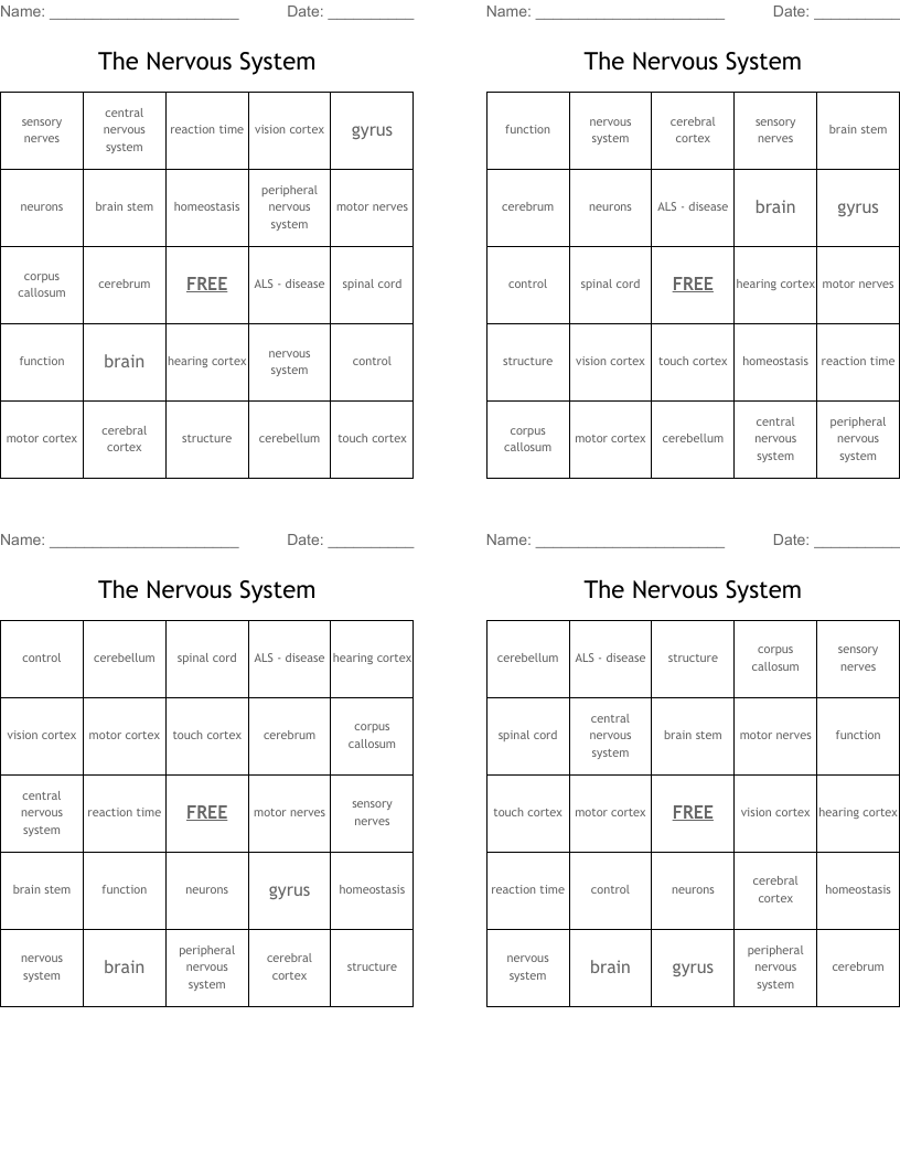 The Nervous System Bingo Cards