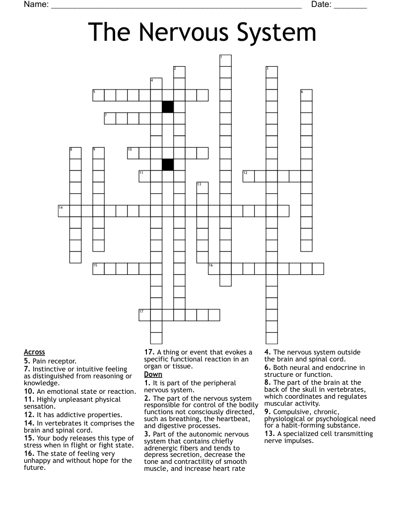 The Nervous System Crossword