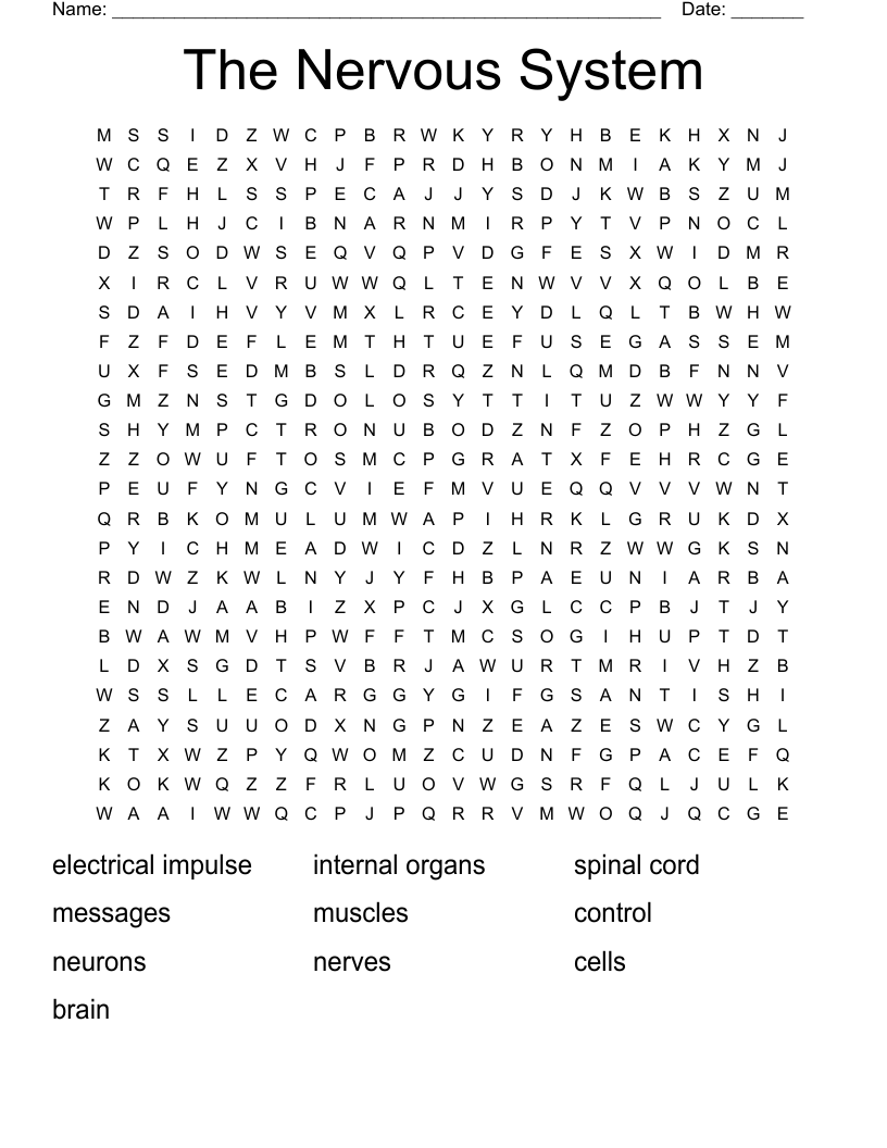 The Nervous System Word Search