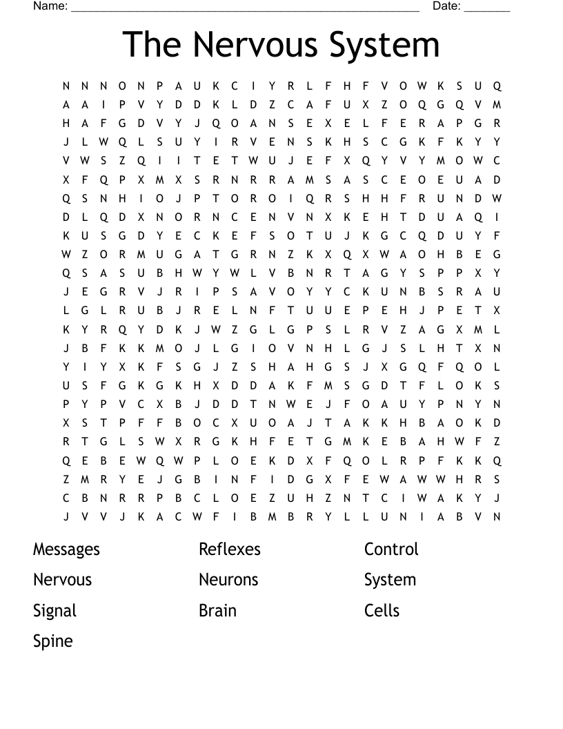 The Nervous System Word Search