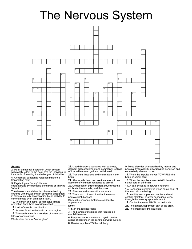The Nervous System Crossword