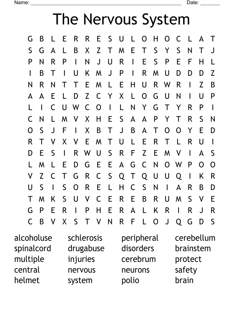 The Nervous System Word Search