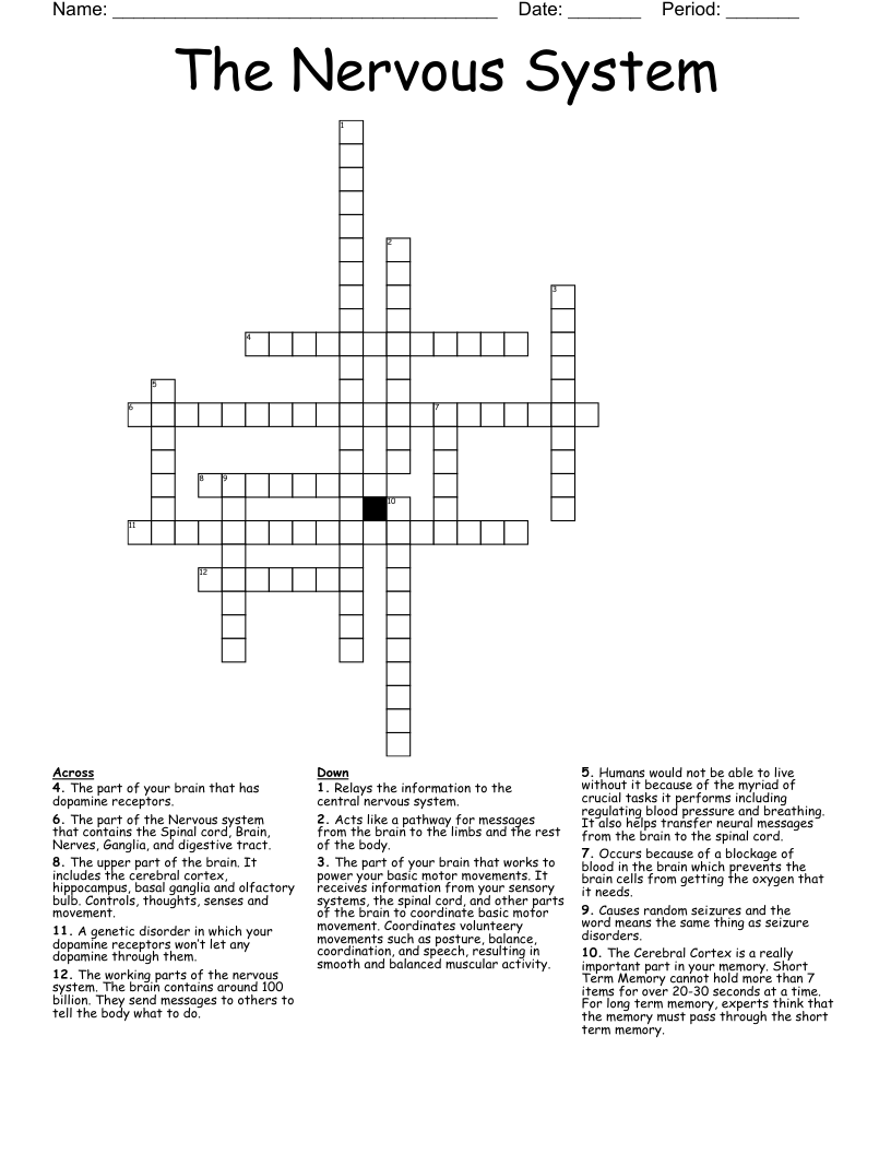 The Nervous System Crossword