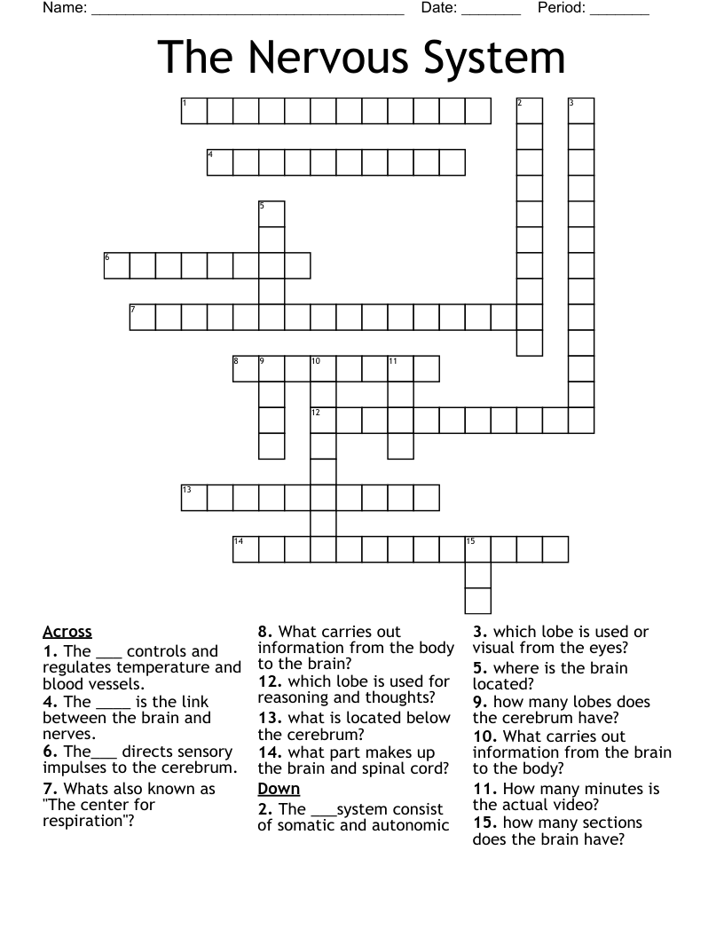 The Nervous System Crossword