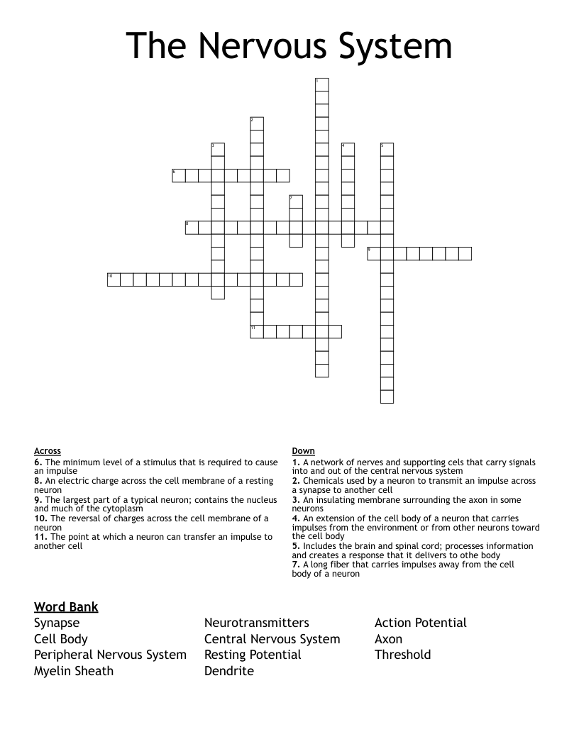 The Nervous System Crossword
