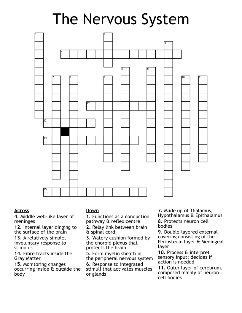 The Nervous System Crossword