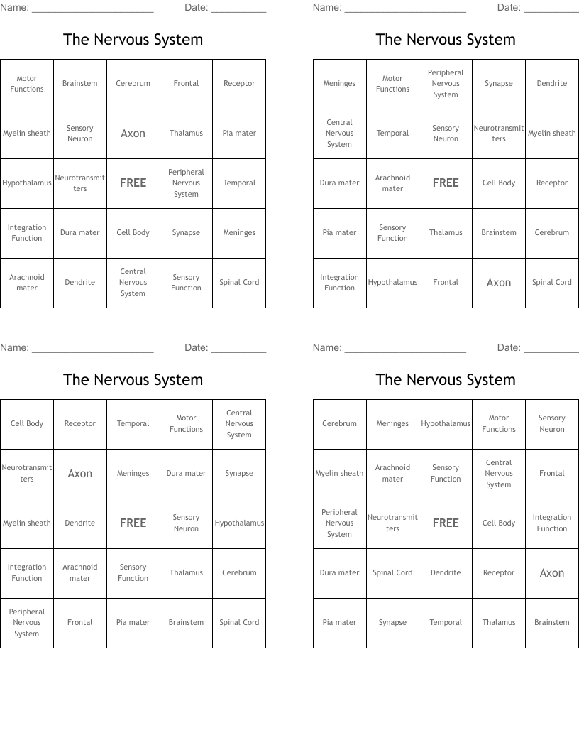 The Nervous System Bingo Cards