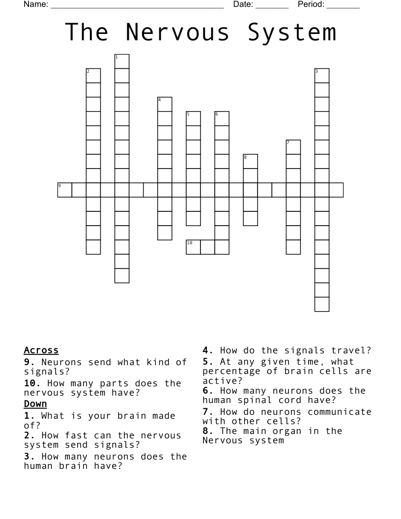 The Nervous System Crossword