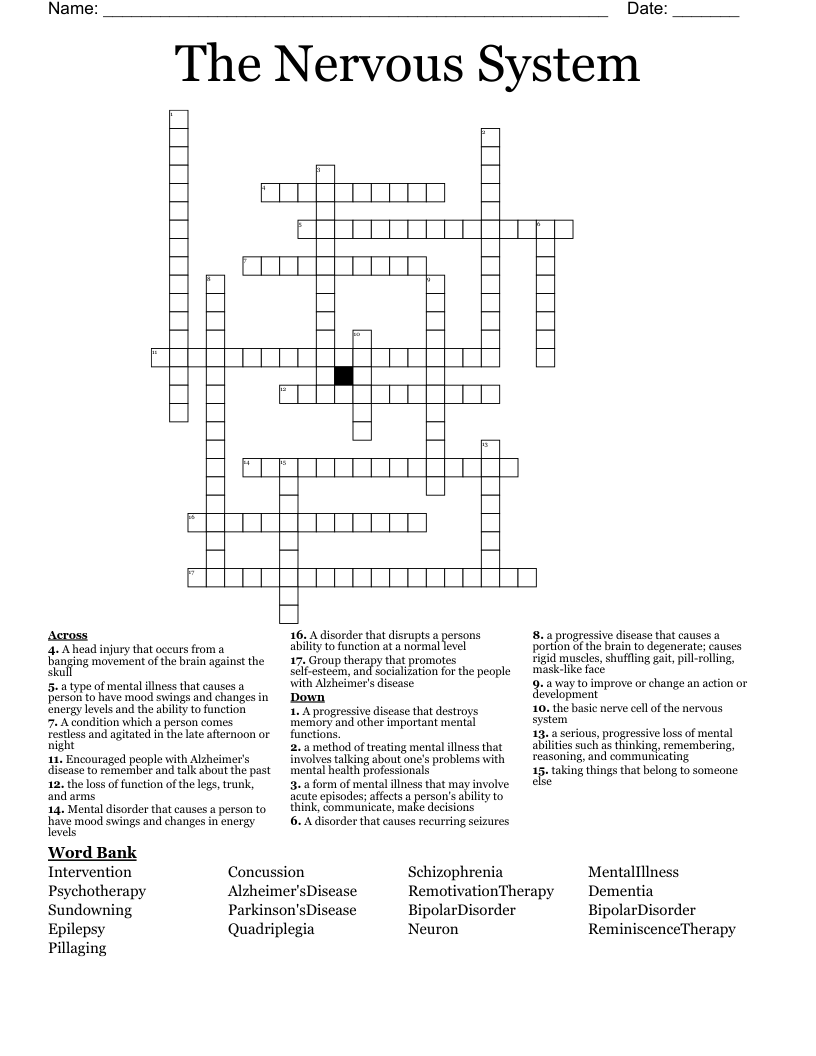 The Nervous System Crossword