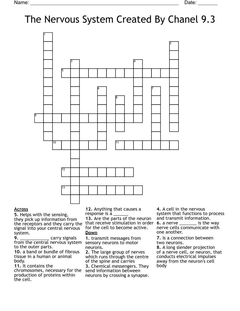 The Nervous System Created By Chanel 9.3 Crossword