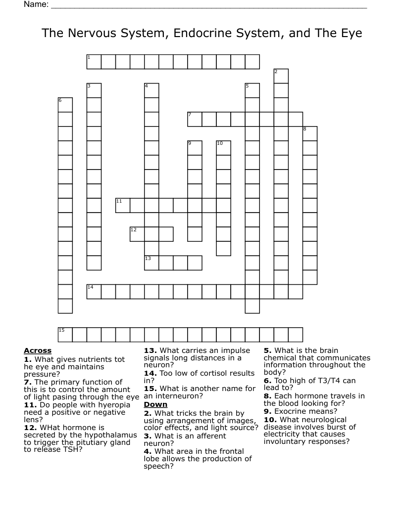 The Nervous System, Endocrine System, and The Eye Crossword