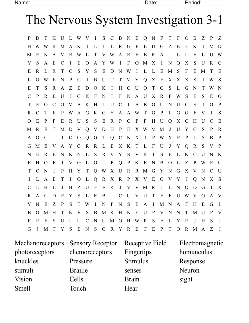 The Nervous System Investigation 3-1 Word Search