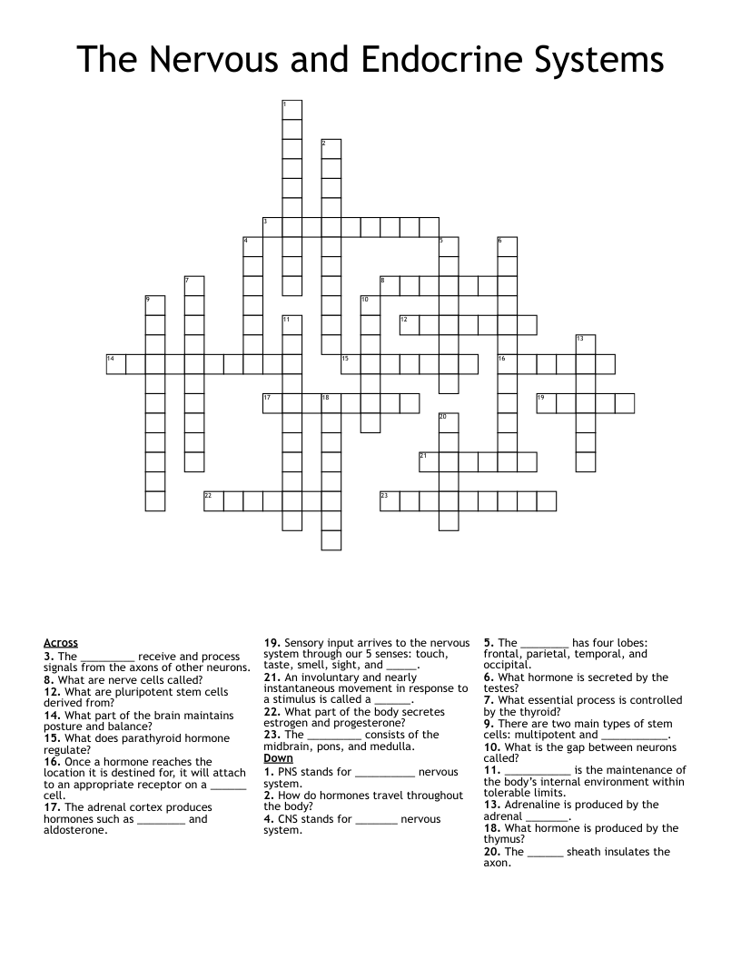 The Nervous and Endocrine Systems Crossword