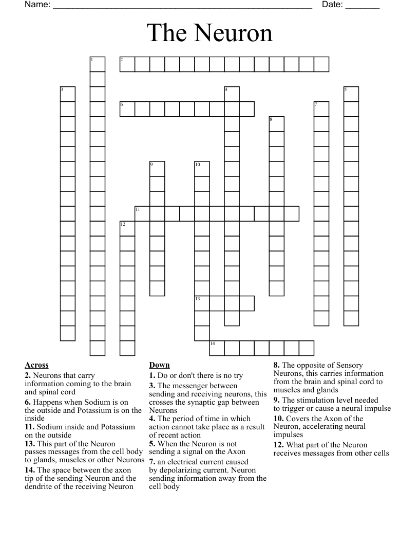 The Neuron Crossword