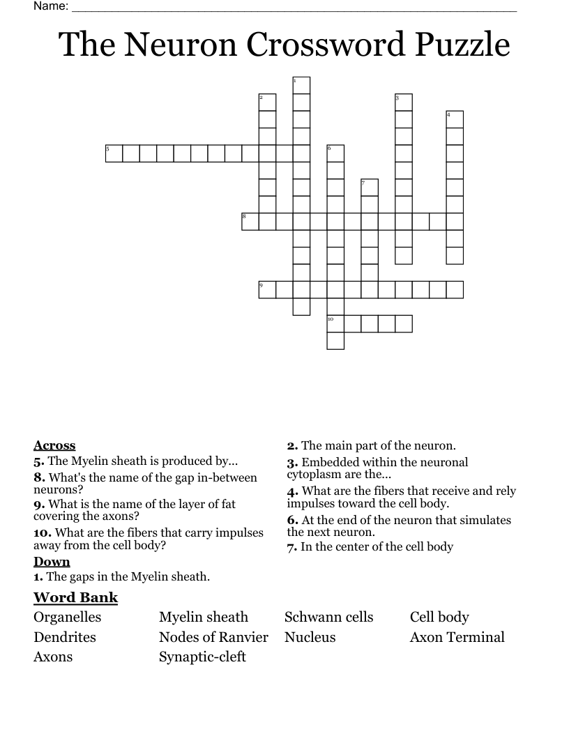 The Neuron Crossword Puzzle