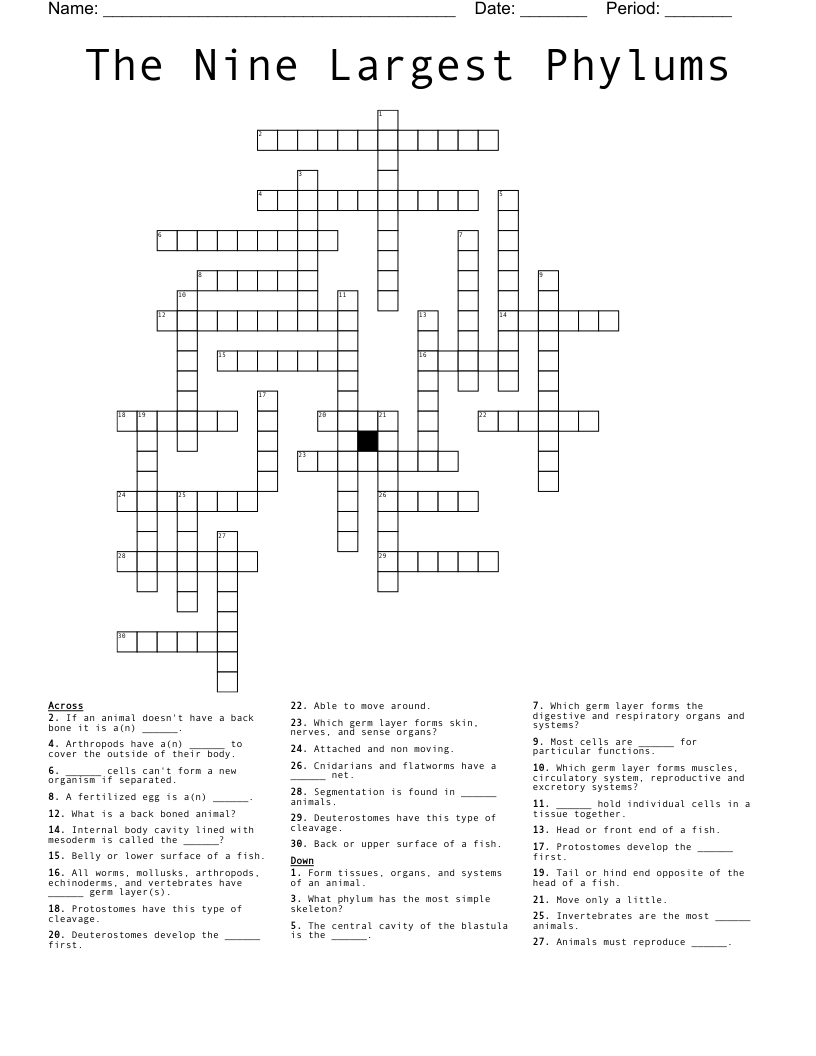 The Nine Largest Phylums Crossword