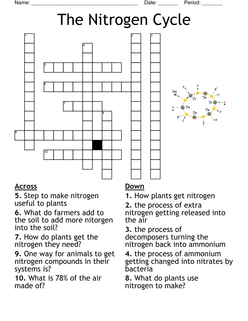 The Nitrogen Cycle Crossword