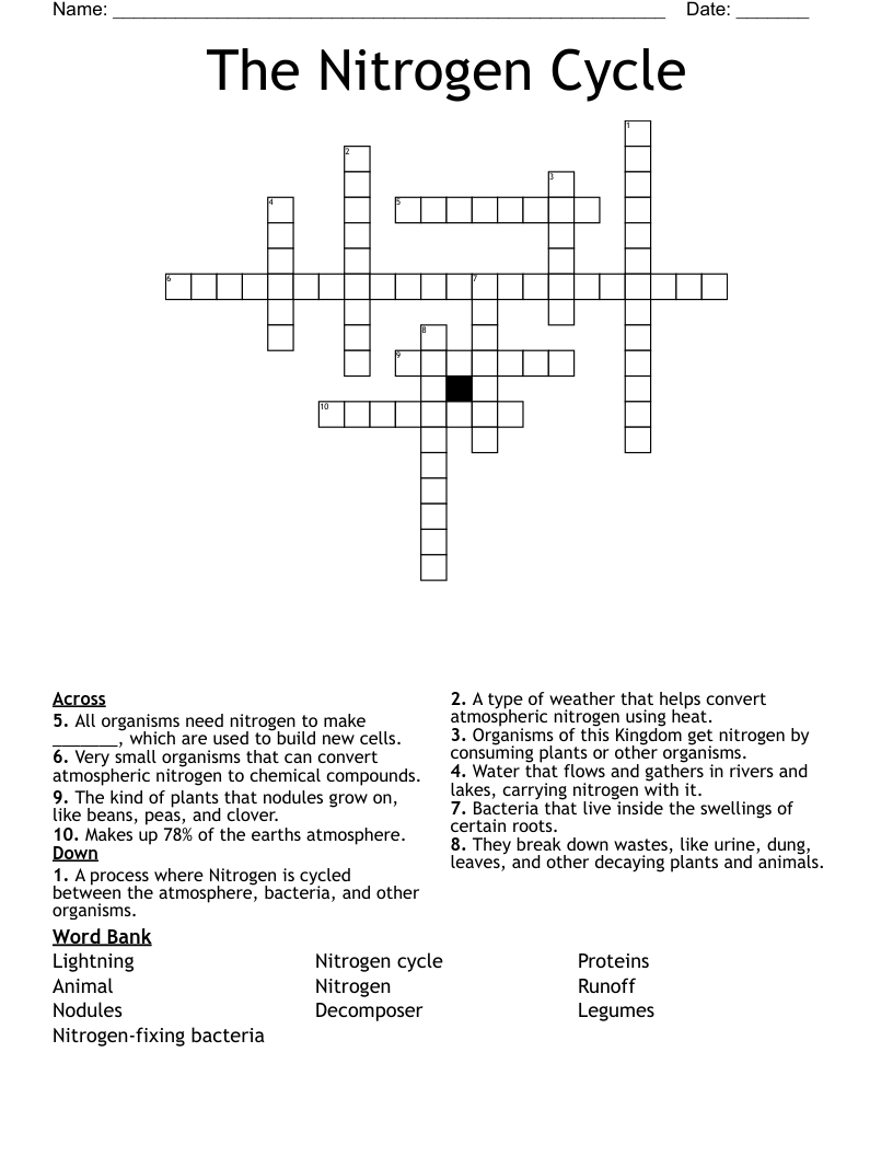 The Nitrogen Cycle Crossword