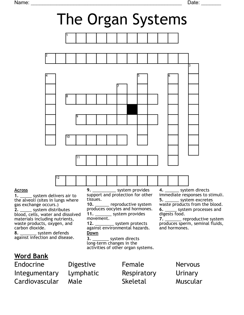 The Organ Systems Crossword