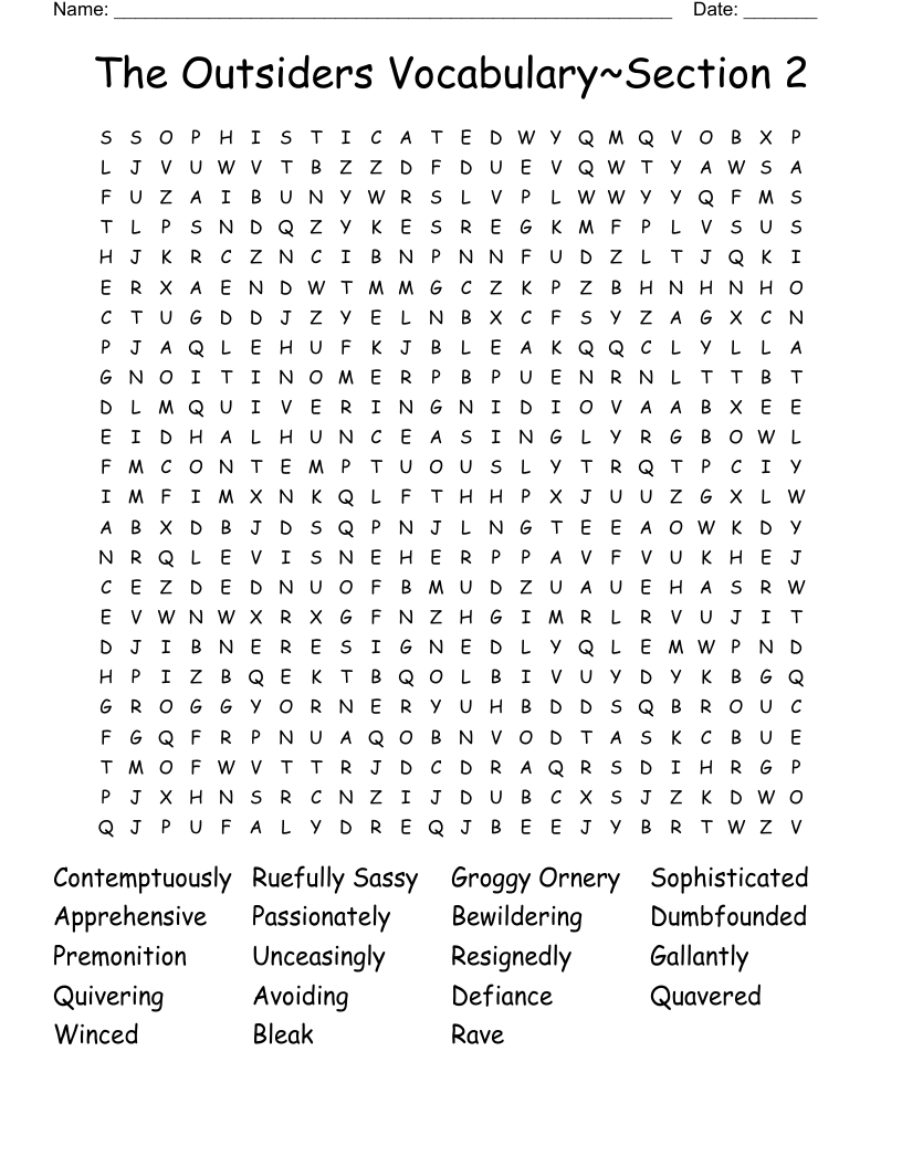 The Outsiders Vocabulary~Section 2 Word Search