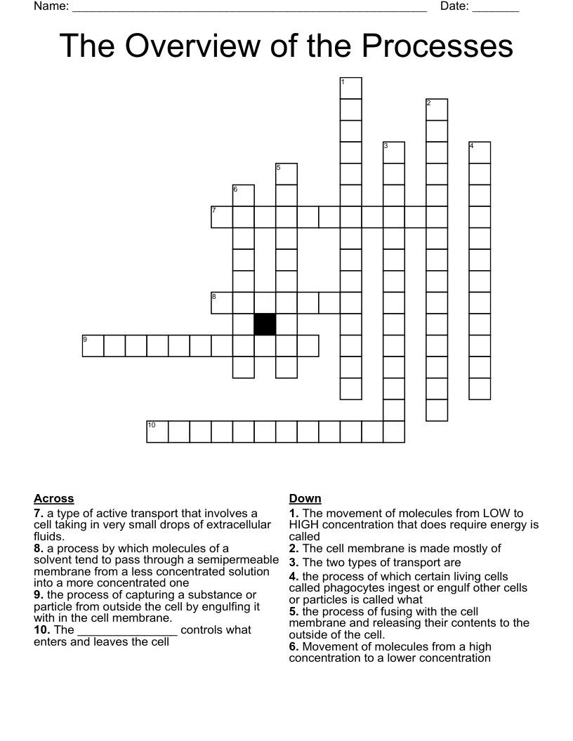 The Overview of the Processes Crossword