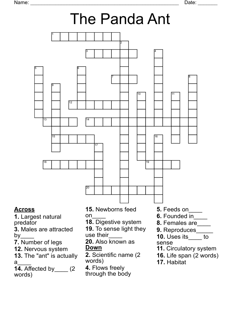 The Panda Ant Crossword