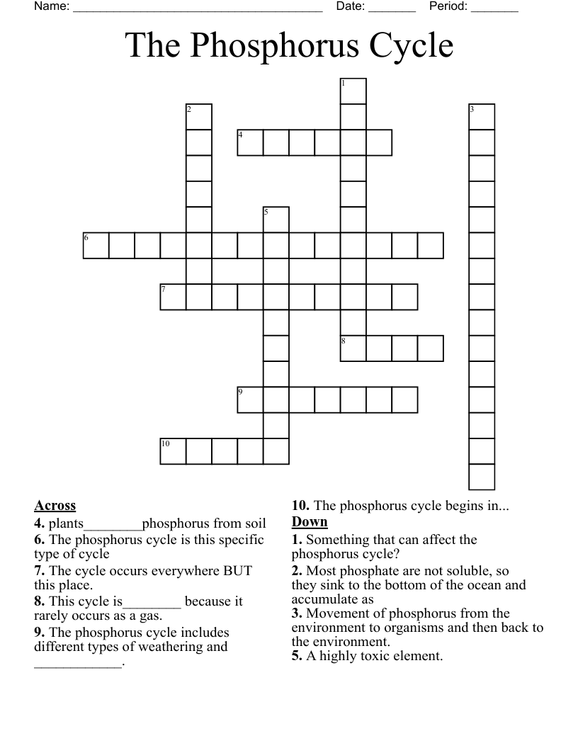 The Phosphorus Cycle Crossword