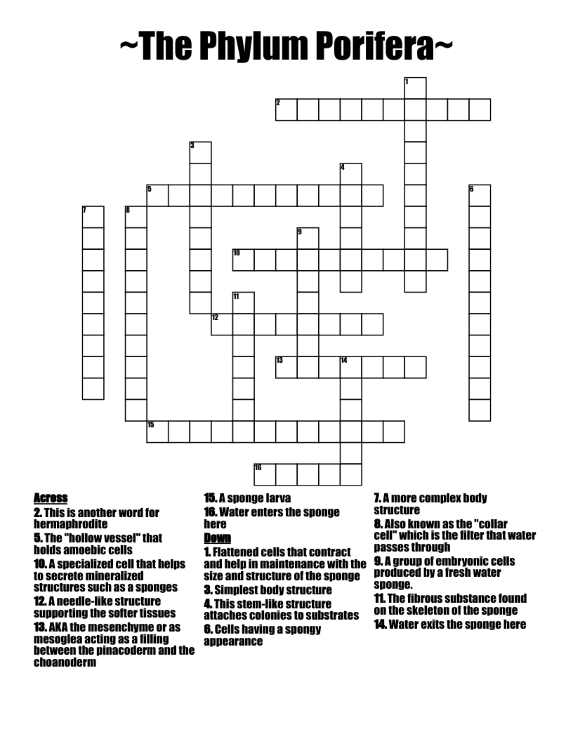 ~The Phylum Porifera~ Crossword