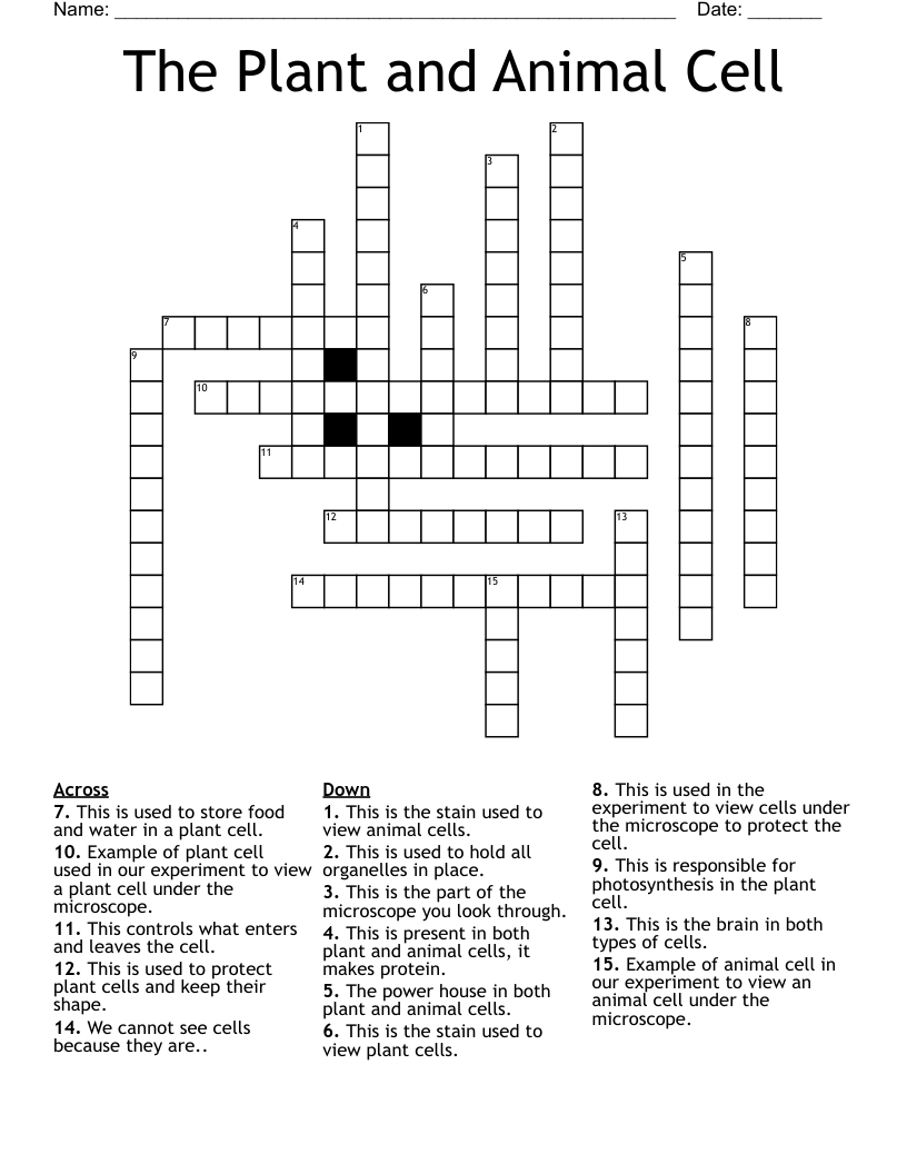 The Plant and Animal Cell Crossword