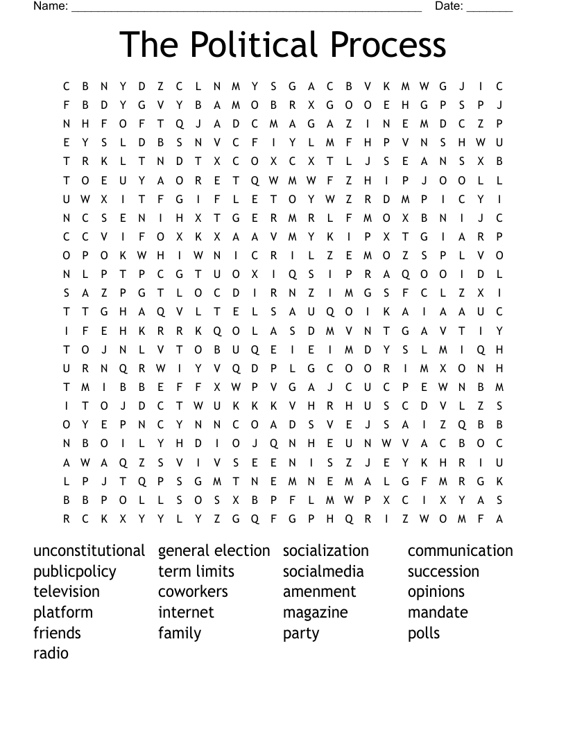 The Political Process Word Search