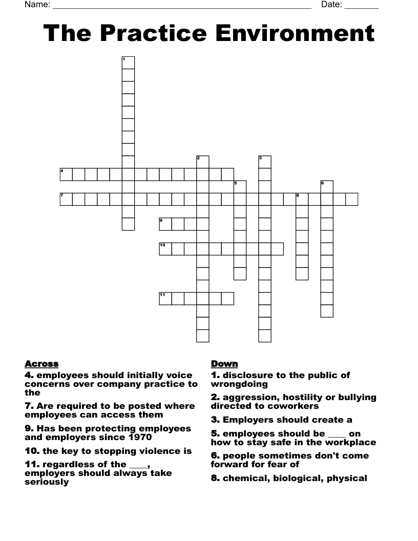 The Practice Environment Crossword